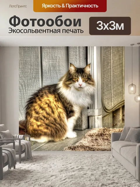 Фотообои Пушистый кот