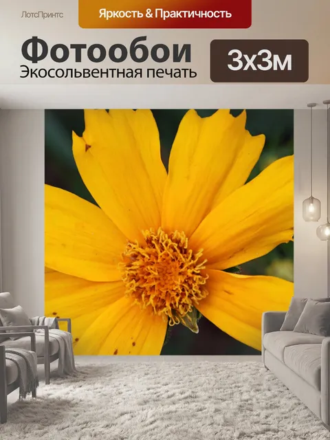 Фотообои желтый цветок клеща