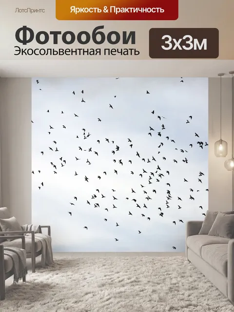 Фотообои Летающие птицы