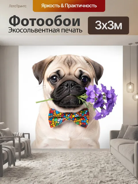 Фотообои Мопс с букетом фиолетовых цветов