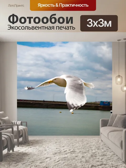 Фотообои Чайки в море