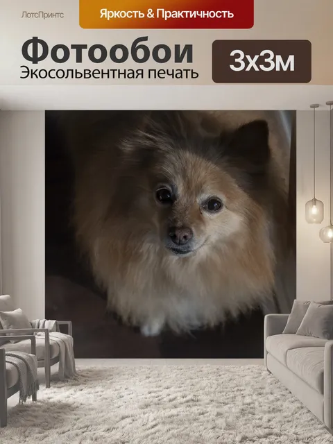 Фотообои Поморское ожидание