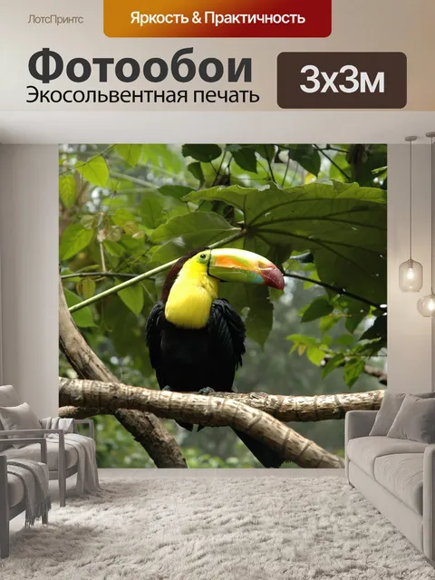 Фотообои Птица