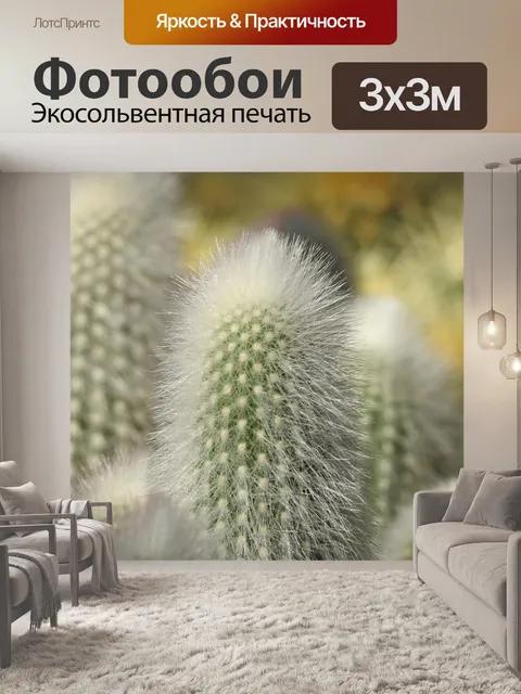 Фотообои Кактусы