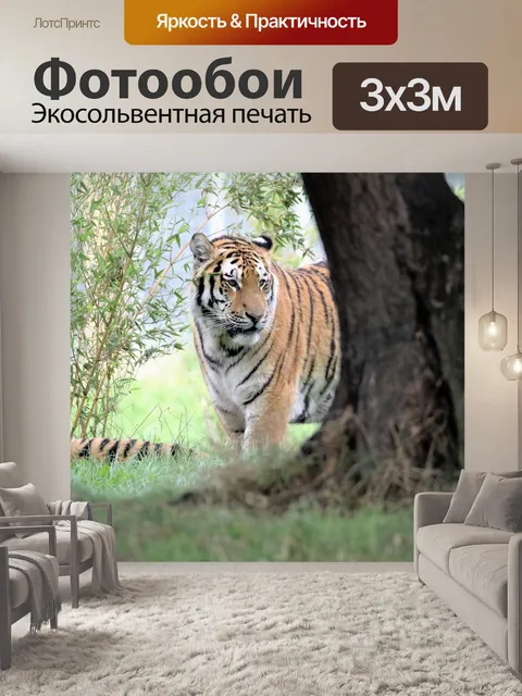 Фотообои Тигр