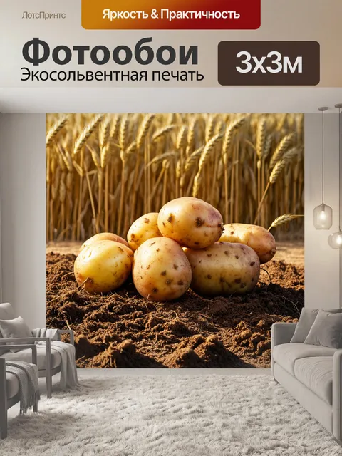 Фотообои группа картошки, вытянутой из земли, с видимыми корнями и грязью, на фоне поля с волнующимися пшеничными…