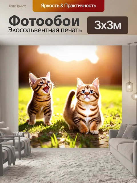 Фотообои светлый фон, на котором радостные кошки играют под ярким солнечным светом