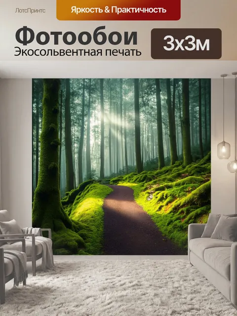 Фотообои англия: тропа через туманный лес, укрытый мхом и лишайником