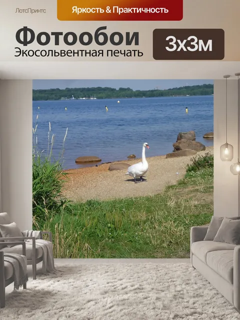 Фотообои Летом