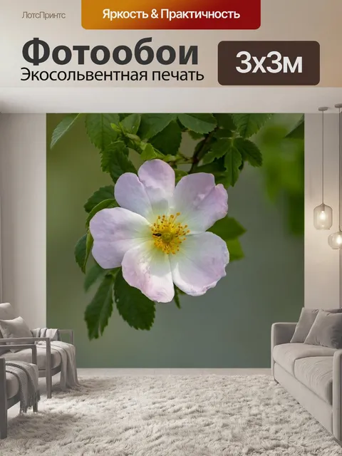 Фотообои Уайлдфлауэр