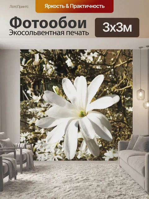 Фотообои Магнолия