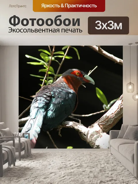 Фотообои Джунгли