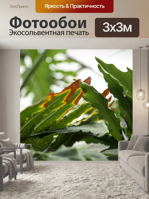 Фотообои Тропический