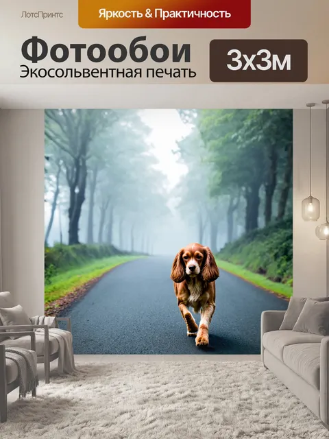 Фотообои кокер-спаниель, гуляющий по дороге, утренний туман вокруг, загадочная атмосфера