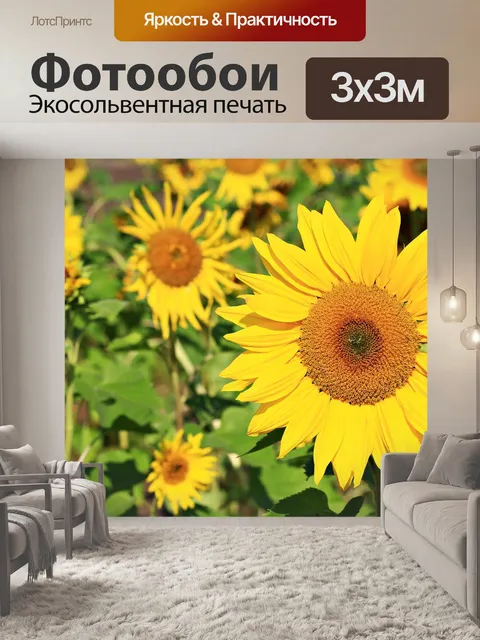 Фотообои Стих первый подсолнух