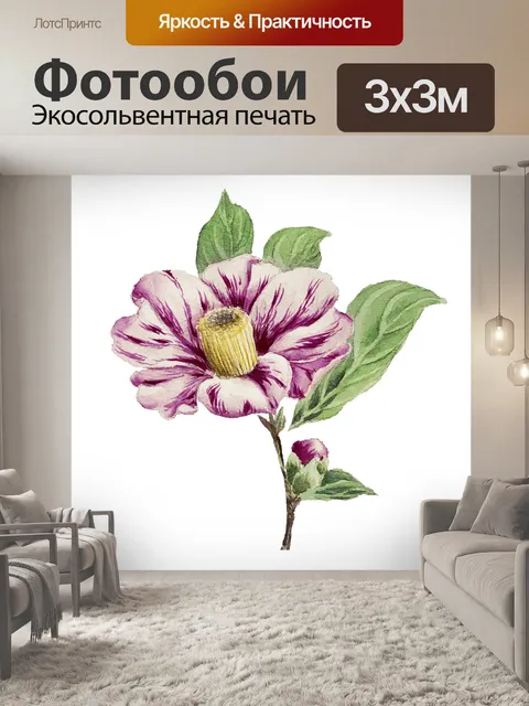 Фотообои Акварель цветок винтажный клипарт