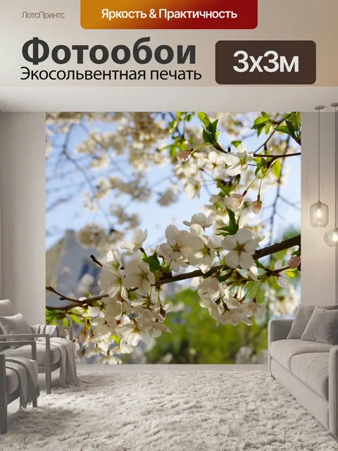 Фотообои Вишни в цвету