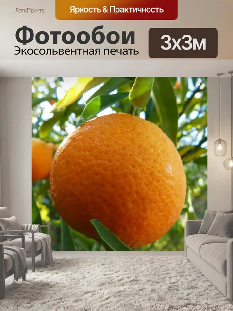 Фотообои Мандарин