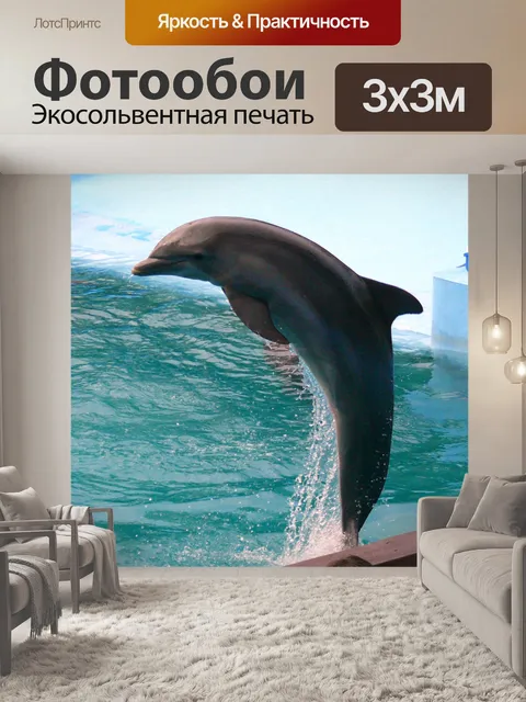Фотообои Dolphin