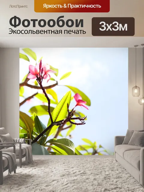 Фотообои Небо