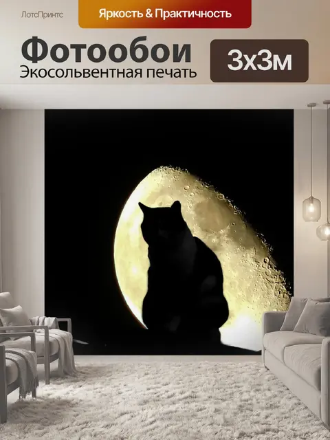 Фотообои Кот