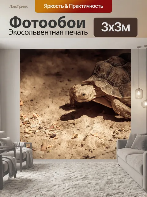 Фотообои Ходьба черепахи