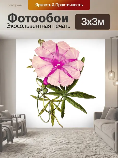 Фотообои Клипарт Flower vintage art