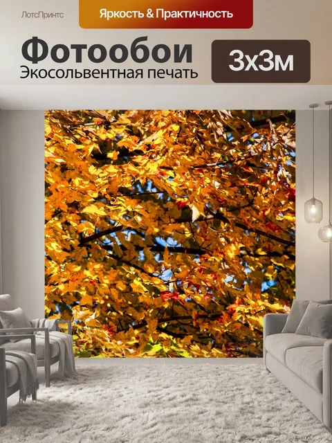 Фотообои Золотые осенние ветви