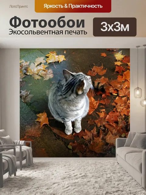 Фотообои Кошка