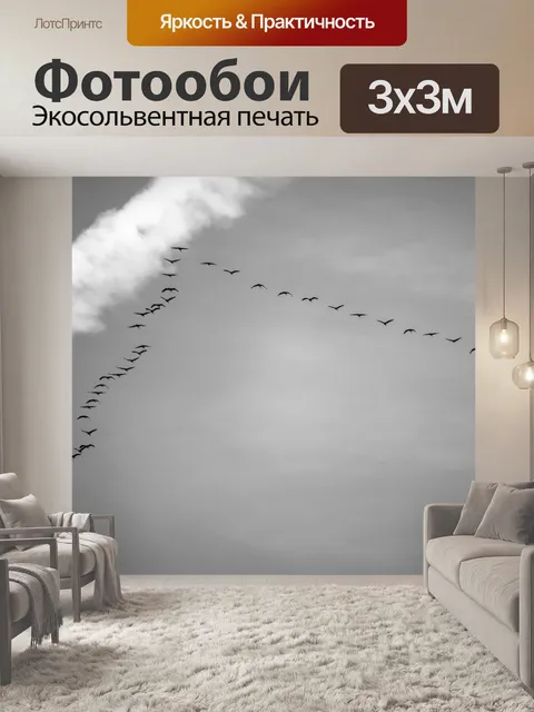 Фотообои Перелетные птицы