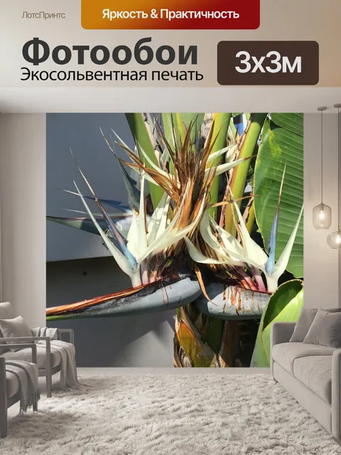 Фотообои Банановый цветок