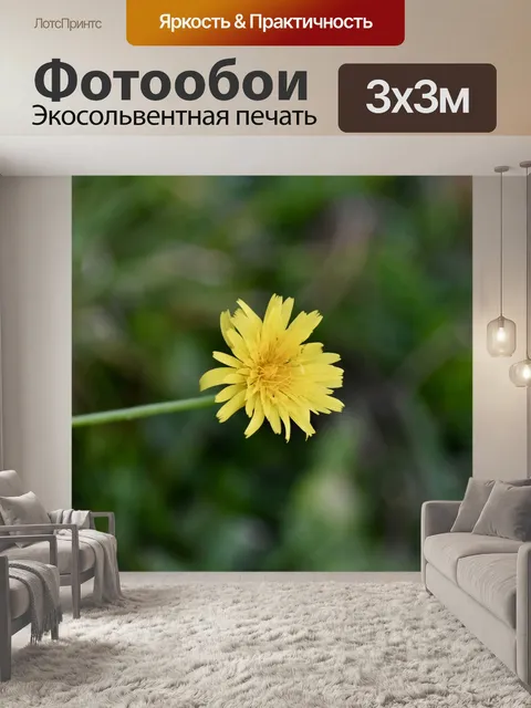 Фотообои Желтый цветок
