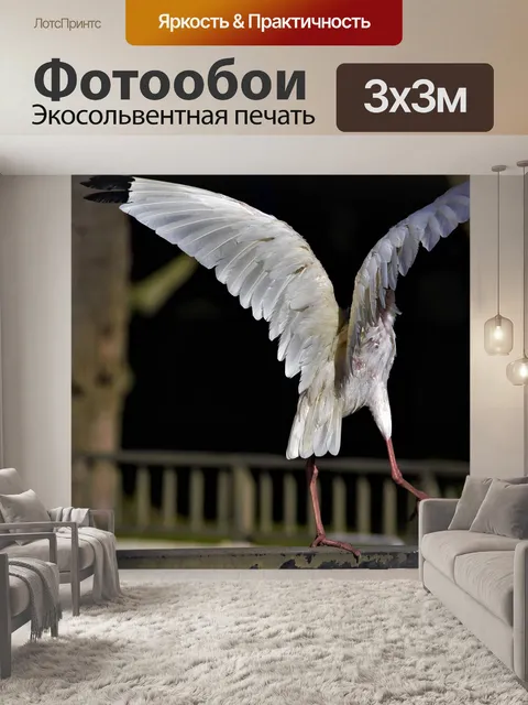 Фотообои Птица