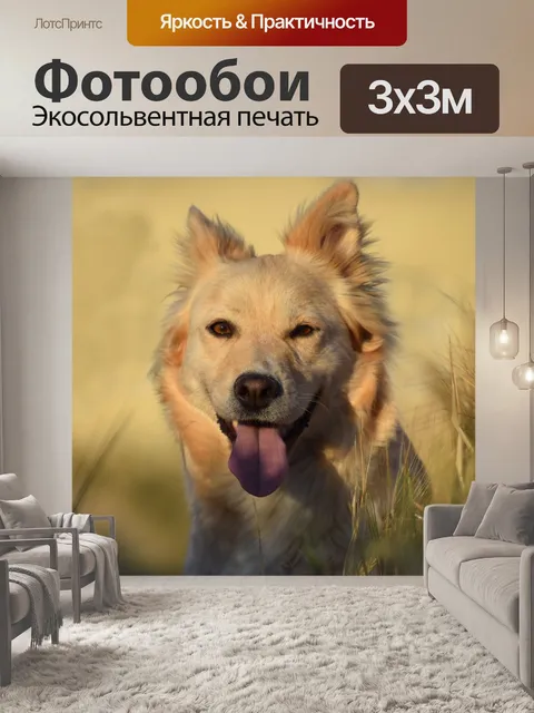 Фотообои Собака