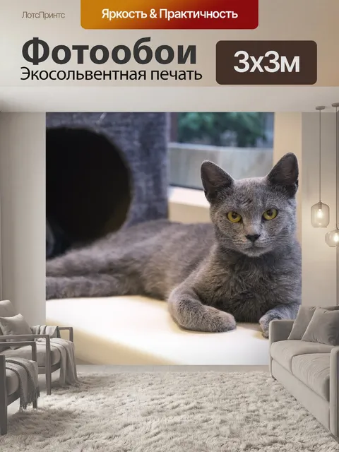 Фотообои Кошка
