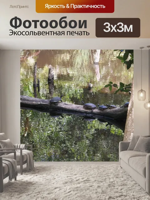 Фотообои Это путь, ребята,