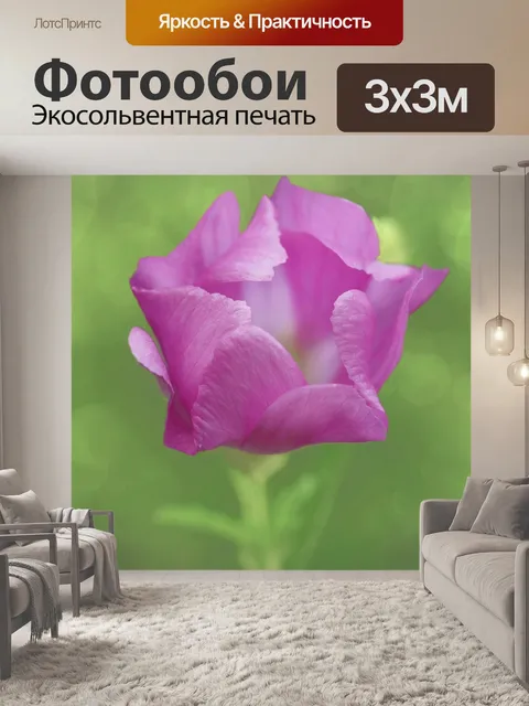Фотообои Цветут цветы садовые цветы