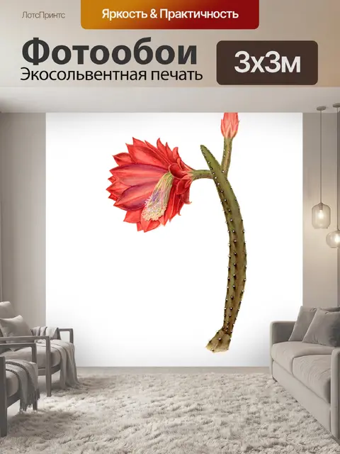 Фотообои Винтажная иллюстрация солнечного кактуса