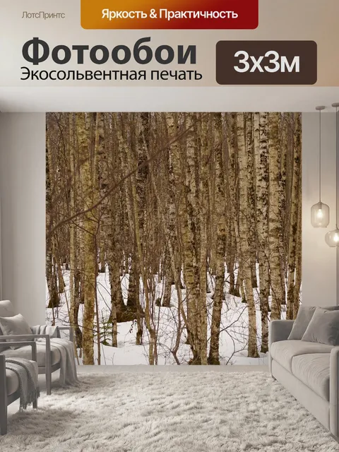 Фотообои Березки