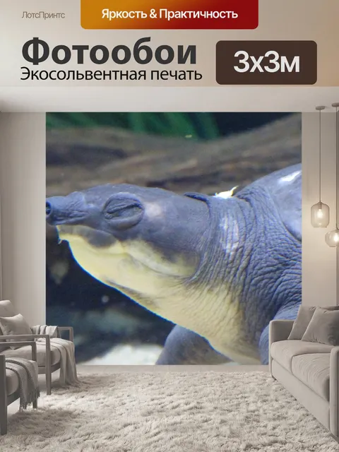 Фотообои Морская черепаха