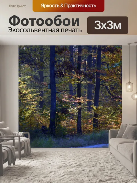 Фотообои Осень