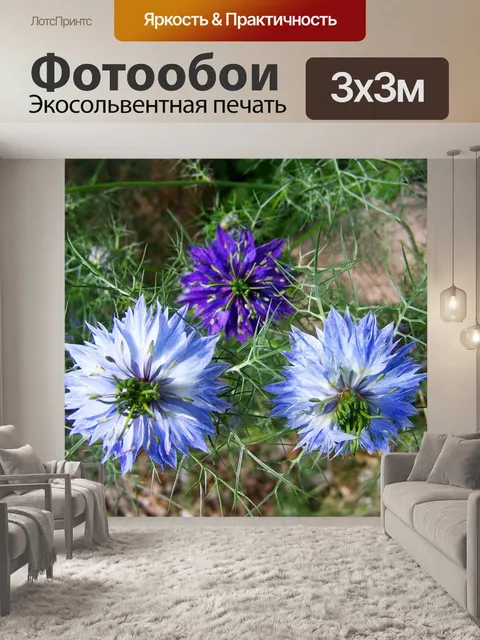 Фотообои Борзаската