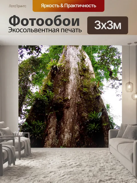 Фотообои Древнее дерево