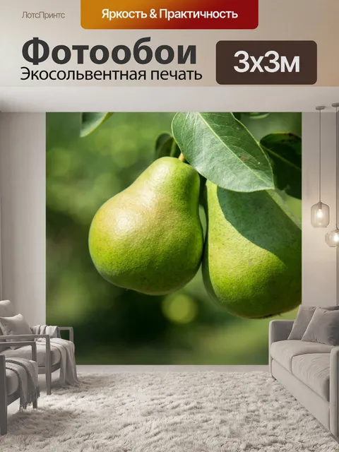 Фотообои Зеленая груша