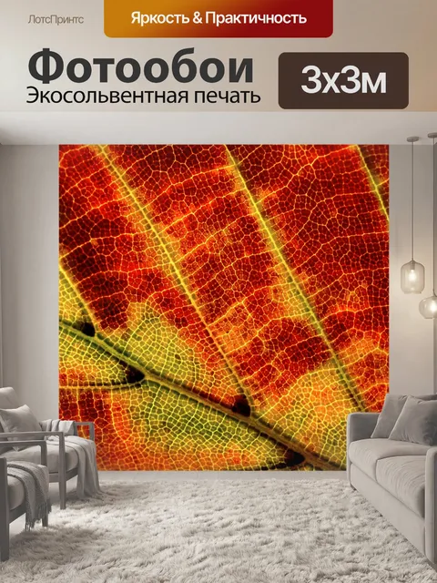 Фотообои Осенняя листва лист макросъемка