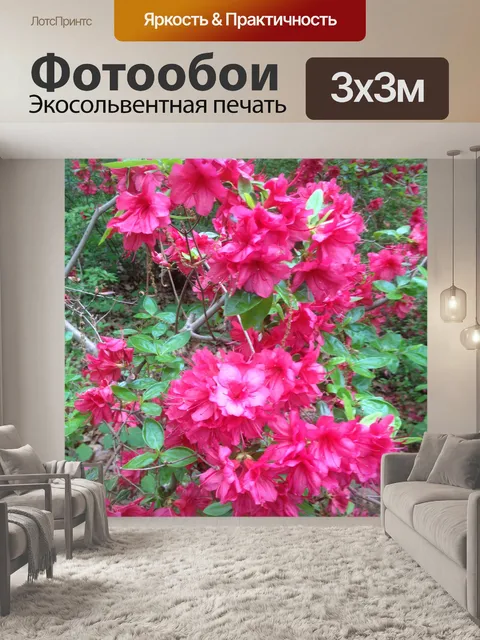 Фотообои Глубокие розовые цветы