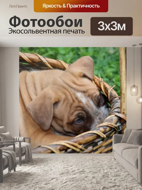 Фотообои Собака щенок