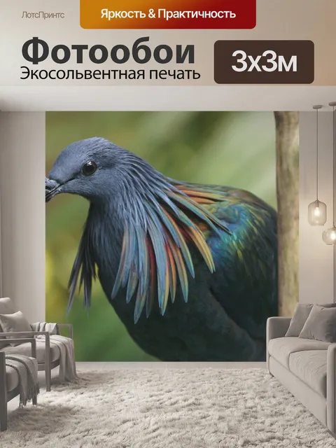 Фотообои Птица
