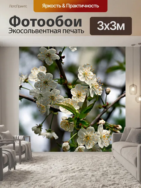 Фотообои Цветок