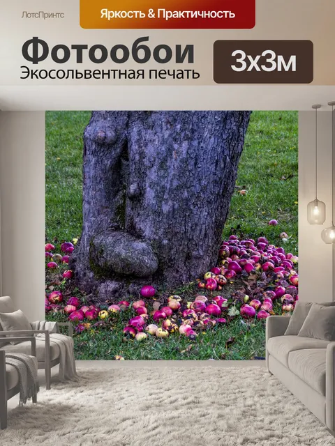 Фотообои Яблоня